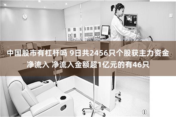 中国股市有杠杆吗 9日共2456只个股获主力资金净流入 净流入金额超1亿元的有46只