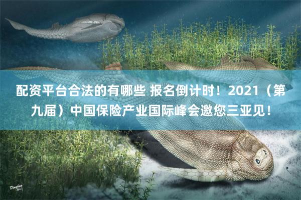 配资平台合法的有哪些 报名倒计时！2021（第九届）中国保险产业国际峰会邀您三亚见！