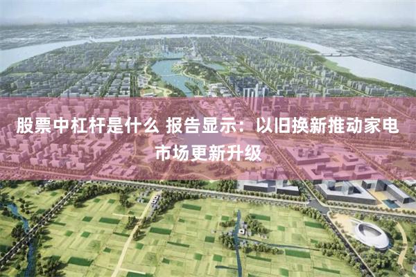 股票中杠杆是什么 报告显示：以旧换新推动家电市场更新升级
