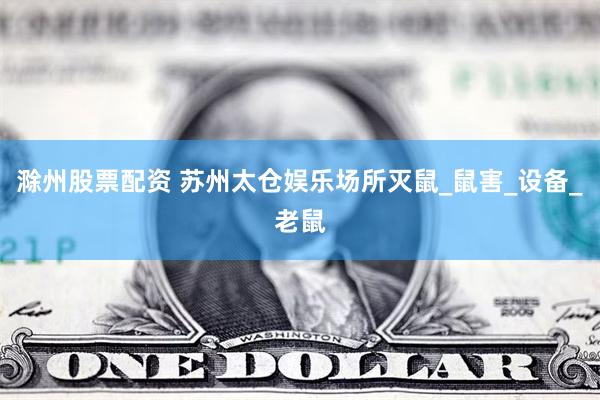 滁州股票配资 苏州太仓娱乐场所灭鼠_鼠害_设备_老鼠