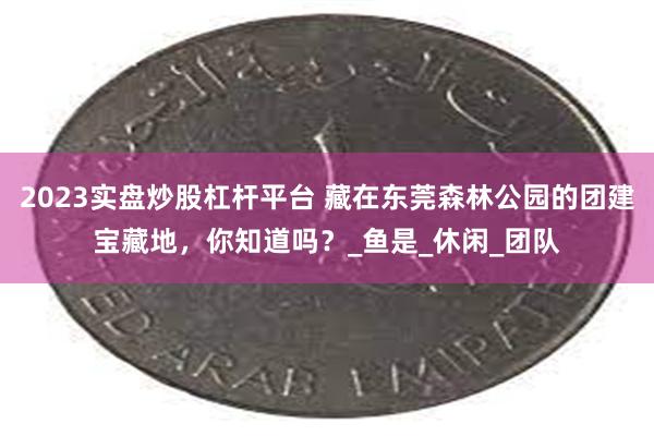 2023实盘炒股杠杆平台 藏在东莞森林公园的团建宝藏地，你知道吗？_鱼是_休闲_团队