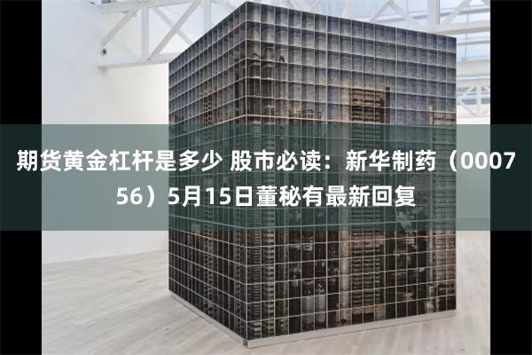 期货黄金杠杆是多少 股市必读：新华制药（000756）5月15日董秘有最新回复