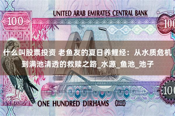 什么叫股票投资 老鱼友的夏日养鲤经：从水质危机到满池清透的救赎之路_水源_鱼池_池子