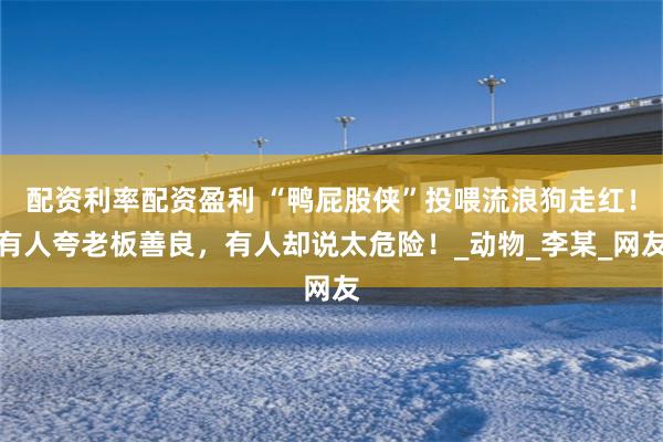 配资利率配资盈利 “鸭屁股侠”投喂流浪狗走红！有人夸老板善良，有人却说太危险！_动物_李某_网友