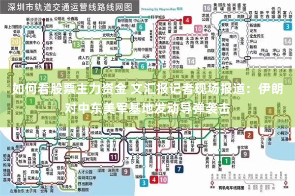 如何看股票主力资金 文汇报记者现场报道：伊朗对中东美军基地发动导弹袭击