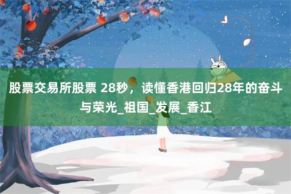 股票交易所股票 28秒，读懂香港回归28年的奋斗与荣光_祖国_发展_香江