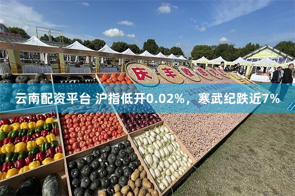 云南配资平台 沪指低开0.02%，寒武纪跌近7%