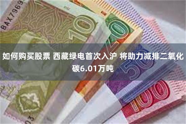 如何购买股票 西藏绿电首次入沪 将助力减排二氧化碳6.01万吨